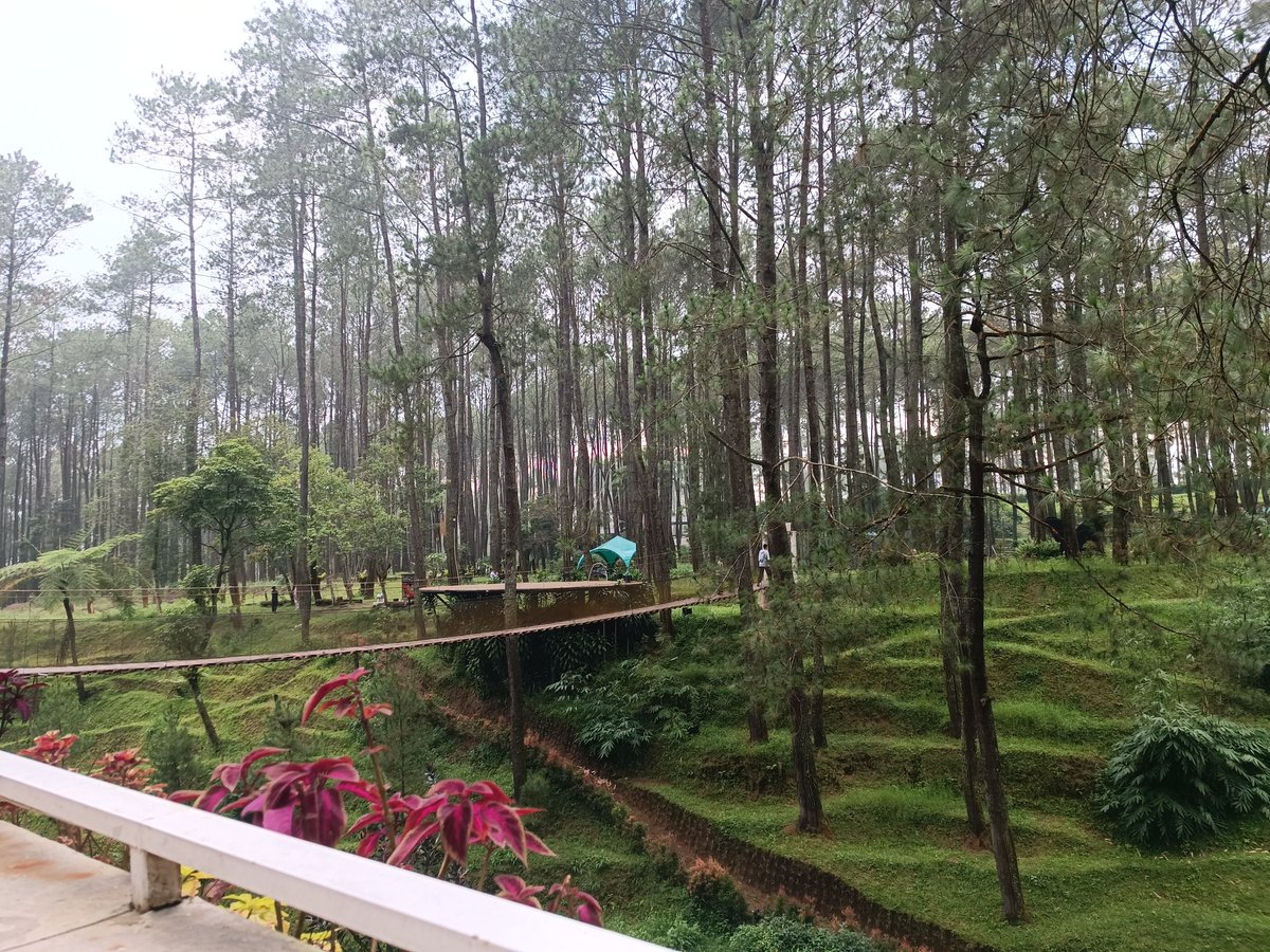 Hijiduatilu12's tweet image. GMIC @SeismicSys
GMIP @StoryProtocol
GFOGO @FogoChain
GPLUME @plumenetwork
Don't forget to touch some grass and get some fresh air 🥰