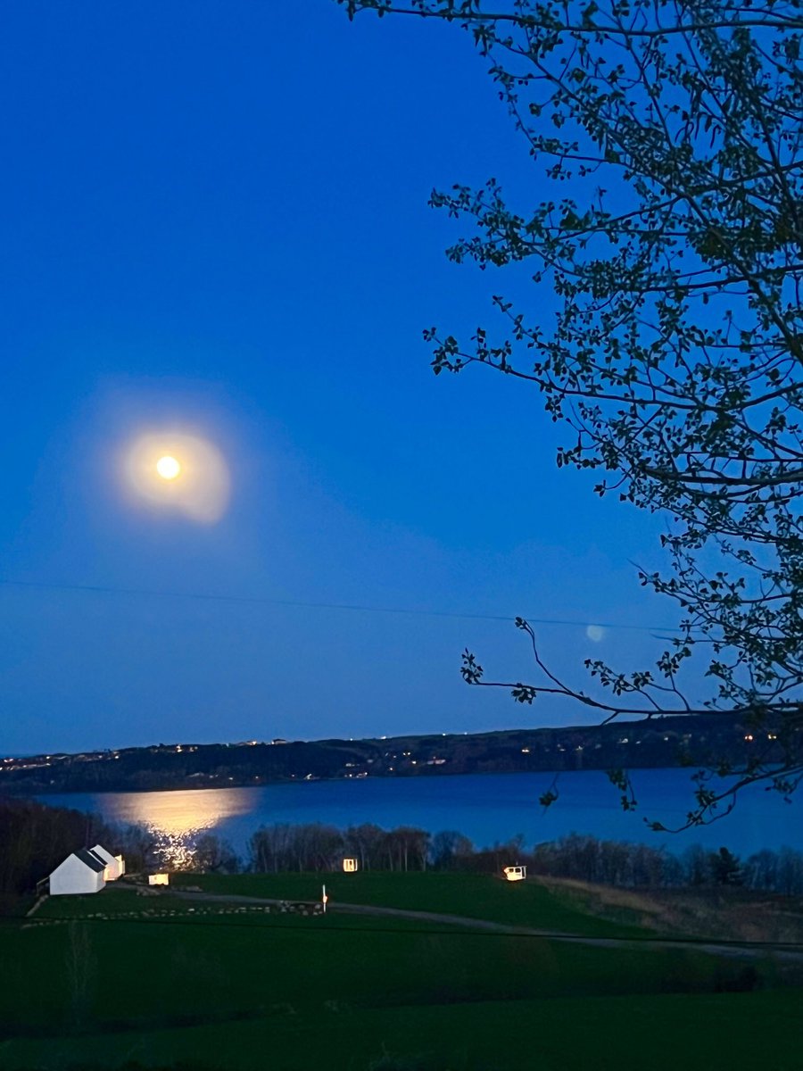 Bonne fête des mères !
Happy mother day !