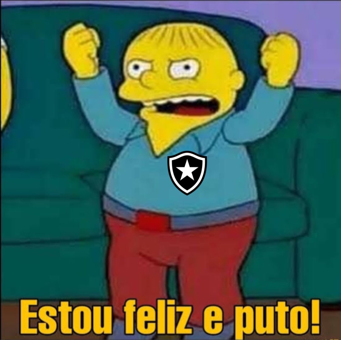 botafogo goleou e paiva não vai cair