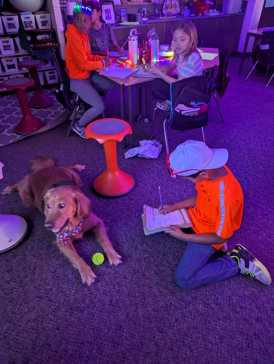 Our ABC countdown is starting and we're already on the letter G! Glow day and Gilmore! What a perfect Friday!! #NoviPride <a href="/NoviVillageOaks/">Village Oaks Elem.</a>