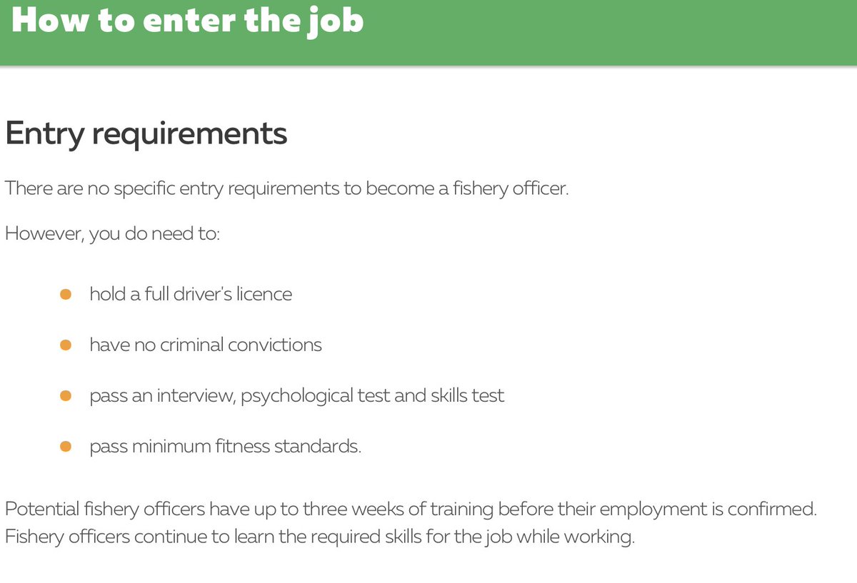 Billykor tweet media