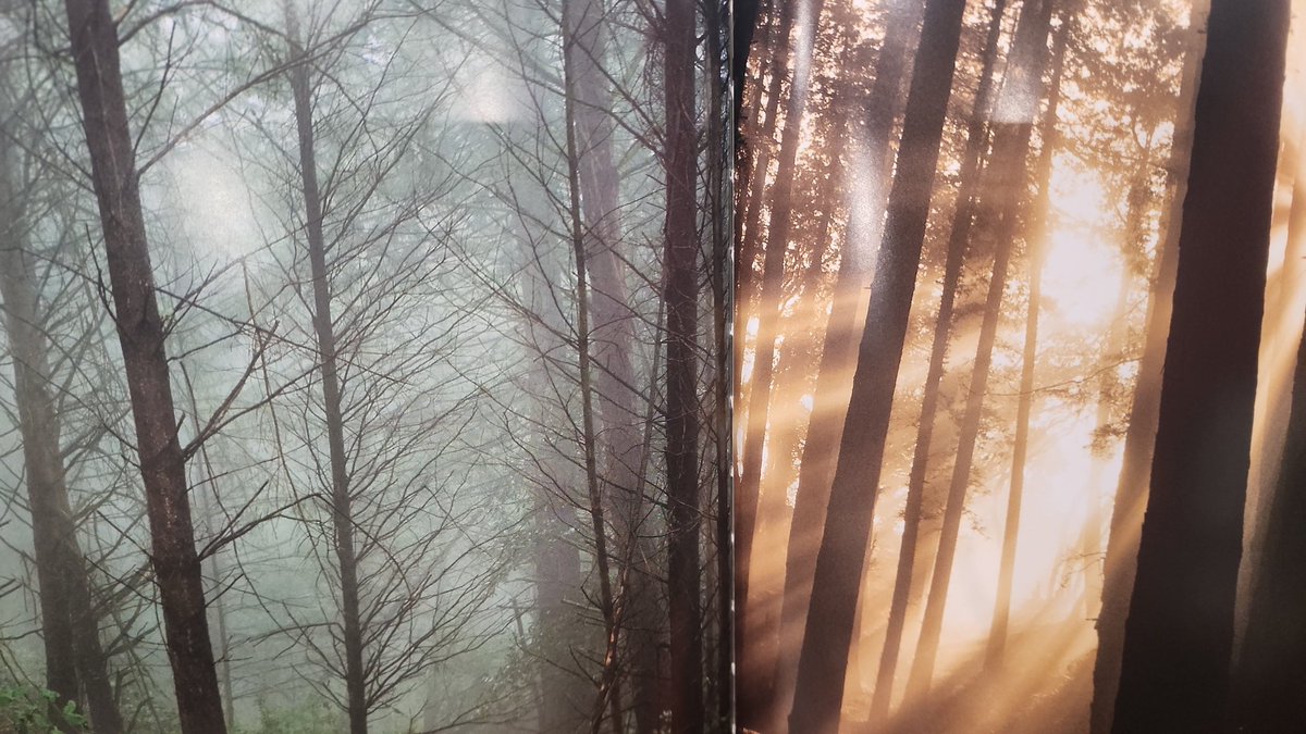 ANancysilver's tweet photo. Louisiana State Prisons need light. Resources. Support. #ReduceRecidivism The Louisiana Department of Safety and Corrections desperately needs funding for Correctional Rehabilitative programs that support reducing recidivism. https://t.co/7flipRDf3J
