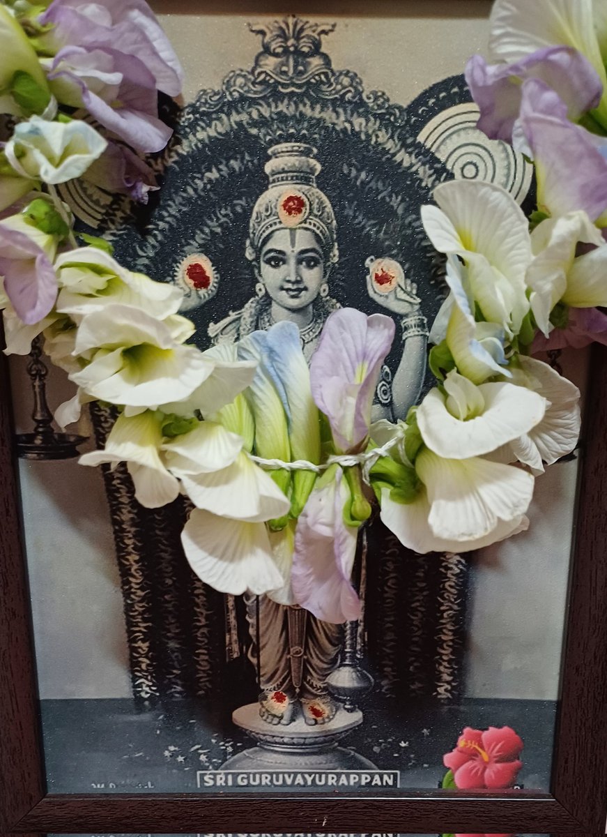 priyasrn's tweet photo. @Avvaitweets हरे कृष्णा गुरुवायुरप्पा
Hare Krishna Guruvayurappa 
ഹരേ കൃഷ്ണാ ഗുരുവായ���രപ്പാ
ஹரே கிருஷ்ணா குருவாயூரப்பா https://t.co/j8mRRNmyO4