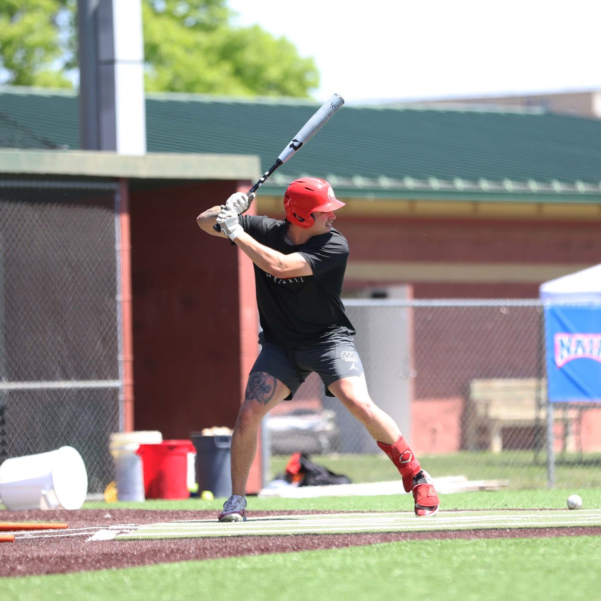 Indiana Wesleyan University Wildcats tweet media