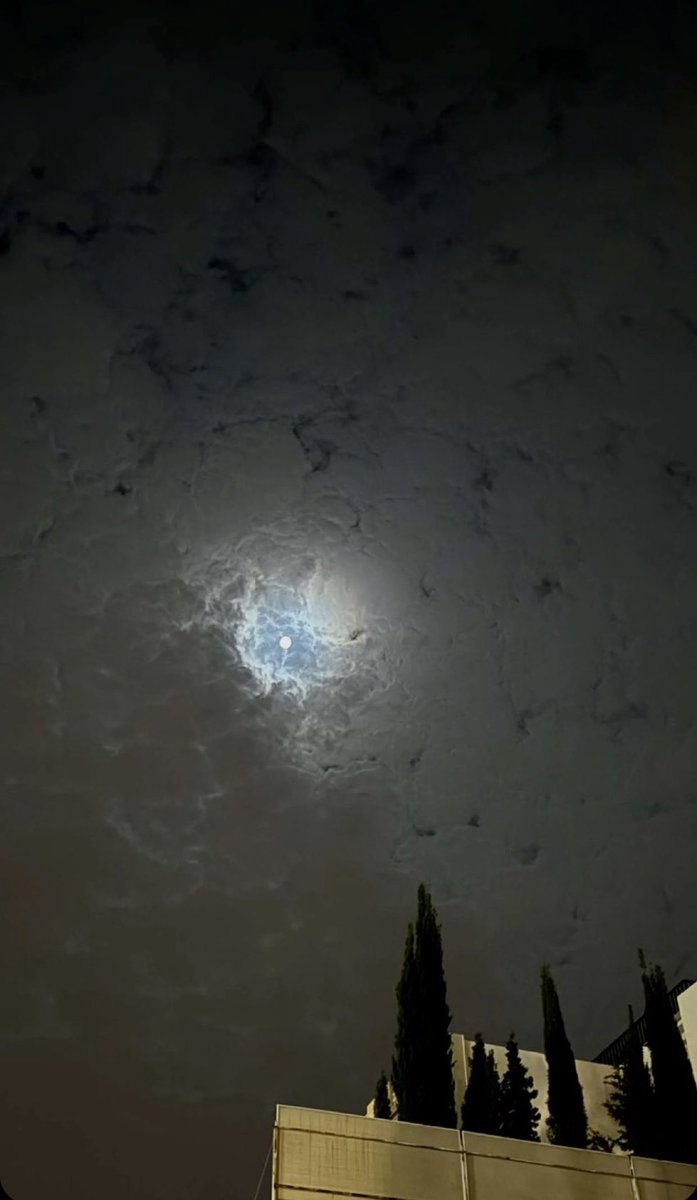 na_waf63's tweet photo. لا يزعجك صمتي ترا والله أغليك 
وترا الغلا ما هو بكثر السوالف .
#عبارات_سنابية_حب_اقتباسات https://t.co/zRSW9zbdMD