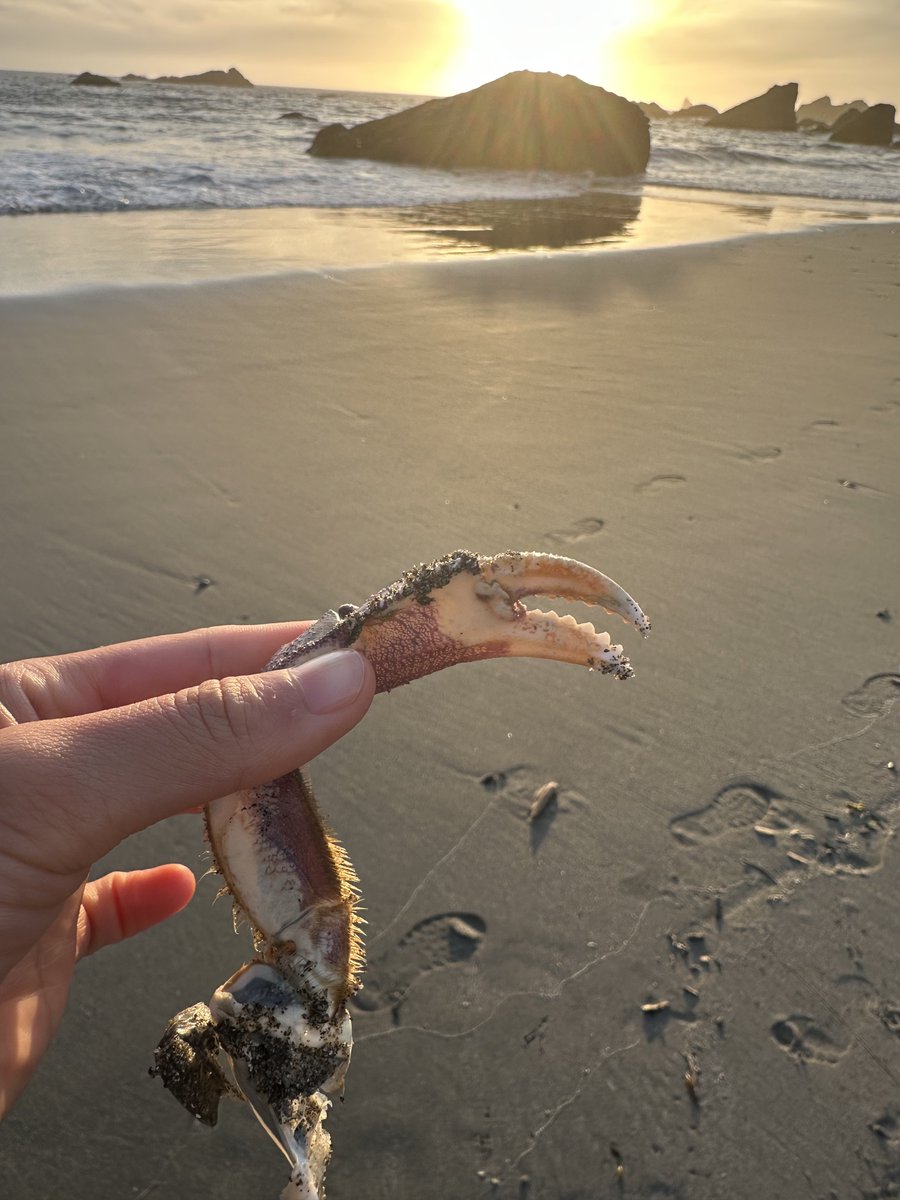 Enjoying every minute of my life