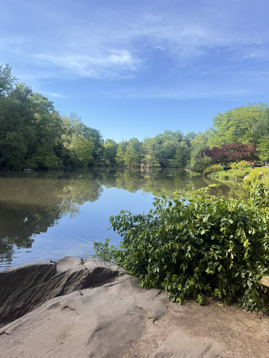 AnHeartist's tweet image. Highlight of the day!!!

- Celebrated Mother’s Day which is always special 
- Enjoyed a well deserved cheat day 😬
- Spotted a beautiful cardinal - a little sign of hope and good luck ❤️
- Had some peaceful "me time" to recharge #weekendDump