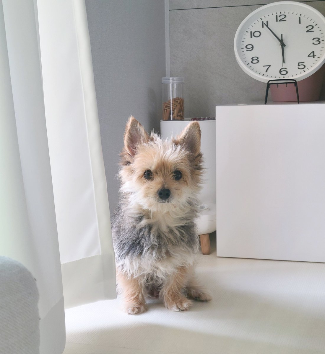 어제 오후 6시경에 난 예뻤지