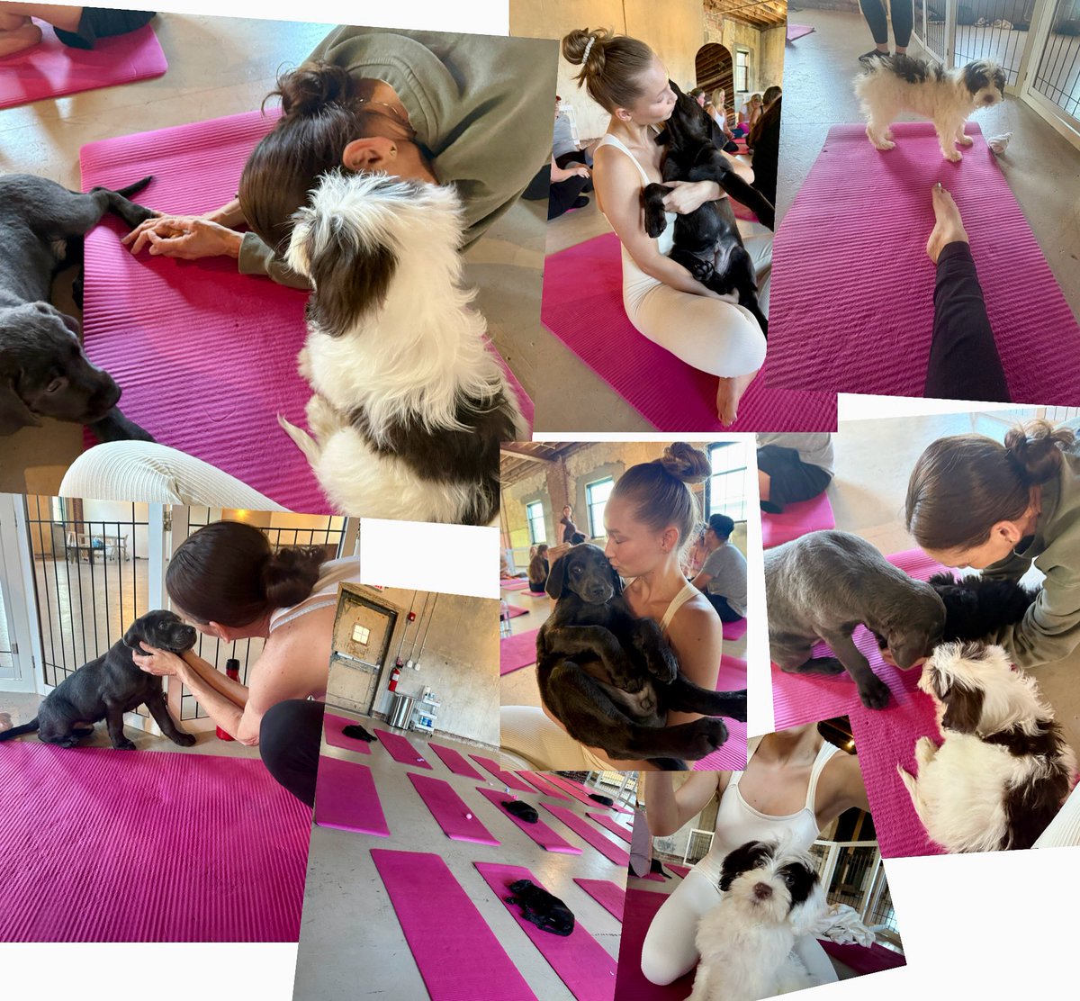 #puppyyoga w/ #babygirl #JadenRae #happymothersday #puppies 🥰💕