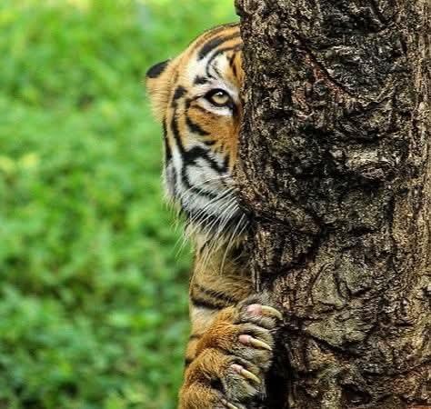 PravinAlai's tweet image. थांबले का युद्ध..!!
.
.
.
26/11 च्या मुंबई हल्ल्याच्या वेळेस इंदिराजी हव्या होत्या......
असे चमचे का म्हणत नसावेत!
#MumbaiTerrorAttack
#OperationSindoor 
#PahelgamTerroristattack