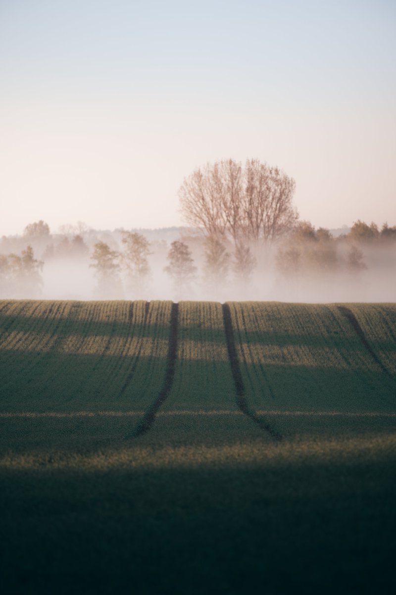 Darte Fex tweet media