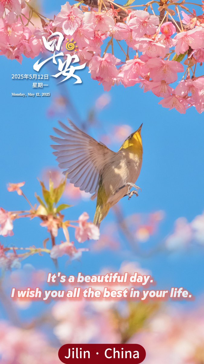 WeJilin's tweet image. 今日祝福送上，愿你一生顺遂无虞。
It's a beautiful day. I wish you all the best in your life.
#China #Jilin #Ginseng #Chinatravel #JilinSeen #answer #nature #life #MothersDay #colorfulJilin #Culture
@XisMoments @xuejianosaka @zhang_heqing @pan_xuesong