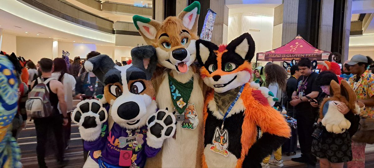 It was nice meeting you <a href="/ChaseRedFox/">Chase the Fox</a> &amp; <a href="/JaxTheCoyote/">JaxTheCoyote 🔜 MFF</a>!🐾
#FWA2025