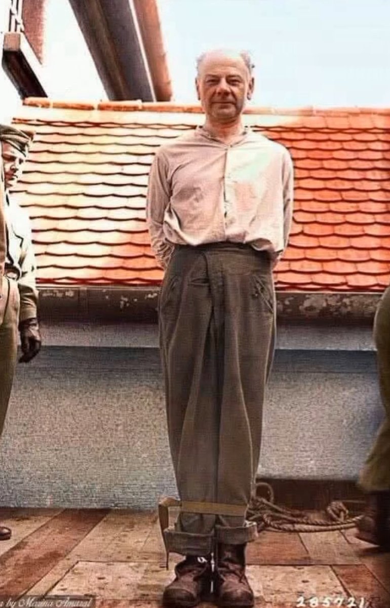 Fotos de Fatos tweet media