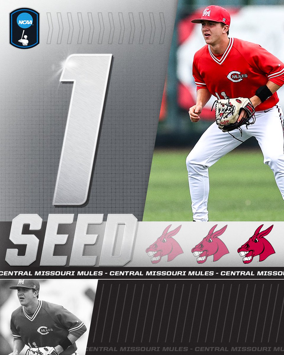 NCAA Division II (@ncaadii) on Twitter photo Representing the Central Region as the No. 1 seed, <a href="/Mules_Baseball/">Roll Stable</a>!
#D2BSB | #MakeItYours Representing the Central Region as the No. 1 seed, <a href="/Mules_Baseball/">Roll Stable</a>!
#D2BSB | #MakeItYours