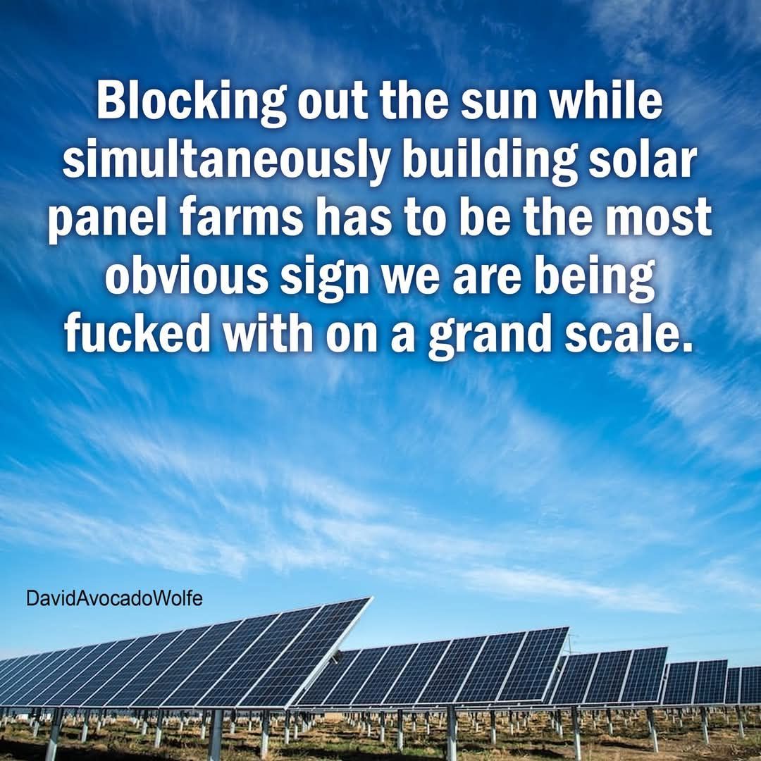 DavidWolfe's tweet photo. https://t.co/MnE3NX2d5e