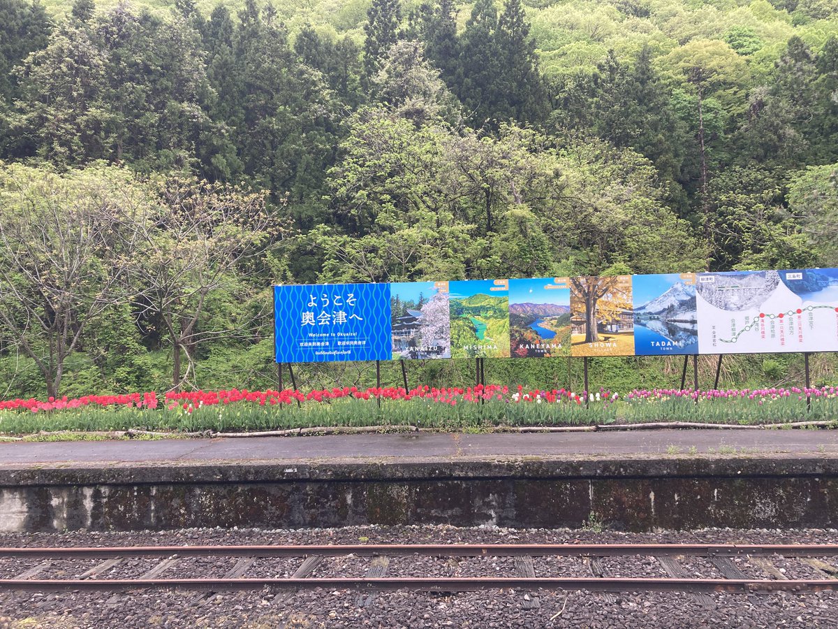 会津柳津駅の向かいのホームにはたくさんのチューリップが並んでいました。
#会津柳津