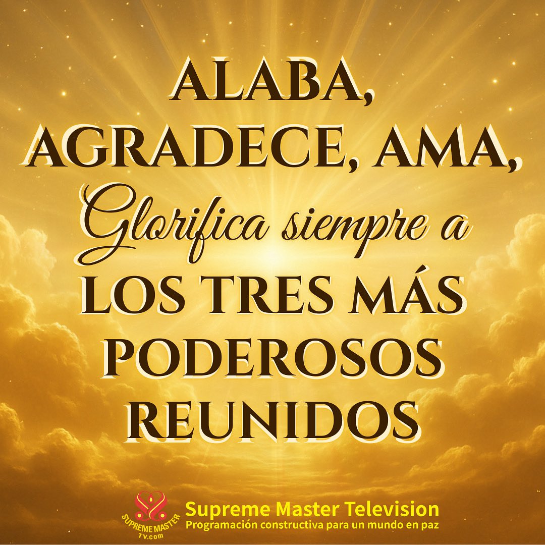 SupremeMasterES's tweet photo. ALABA, AGRADECE, AMA, Glorifica siempre a LOS TRES MÁS PODEROSOS REUNIDOS

https://t.co/FONZtEYjnN

#SupremeMasterTV #alaba #Agrdece #Glorifica #lostresmaspoderosos https://t.co/cuF7E9hppz