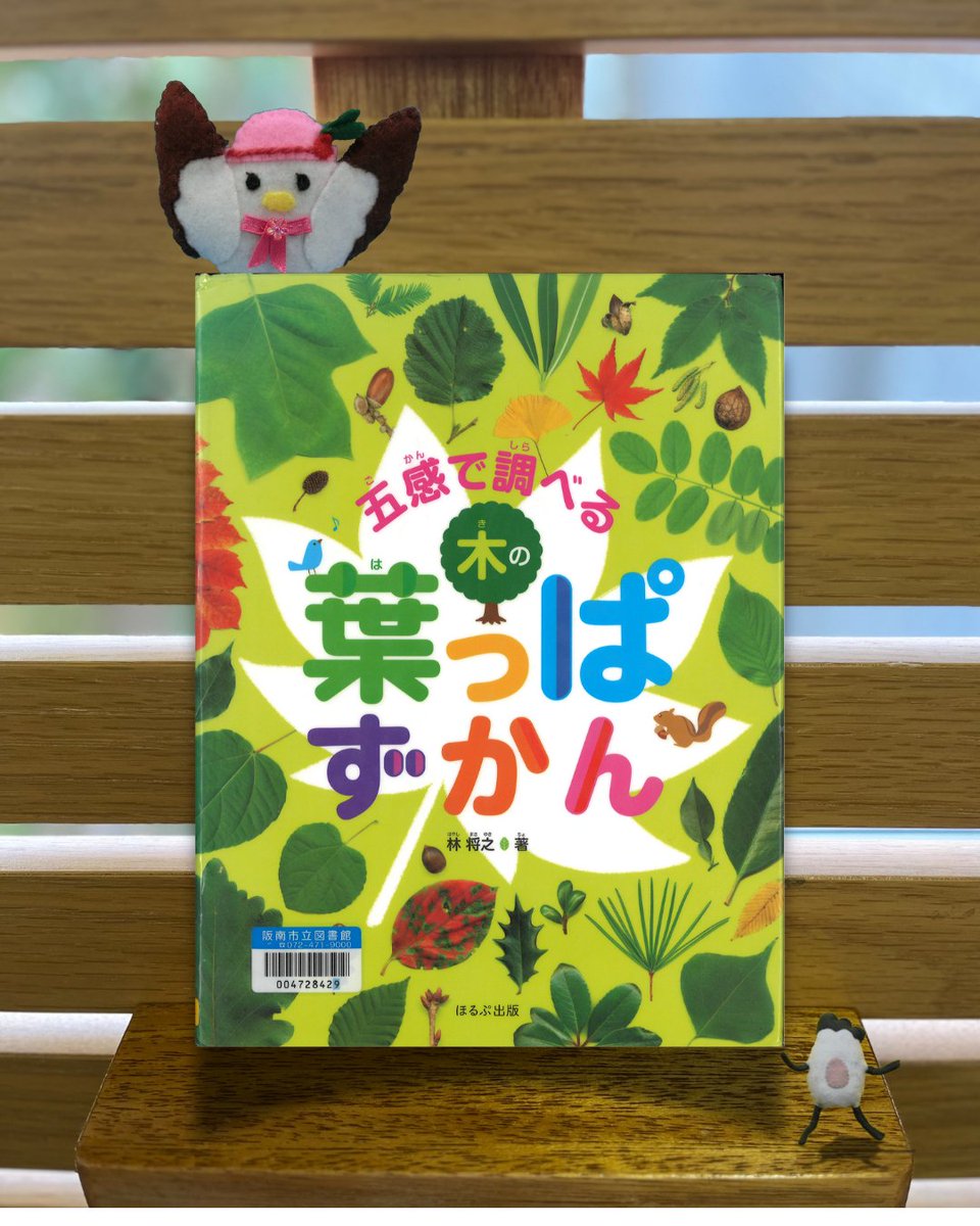 hannan_lib's tweet image. 【#特集展示 #はっぱ】
外に出るのが気持ちいい季節になりましたね☀️
この季節にぴったりな本をご紹介します📗

『五感で調べる木の葉っぱずかん』
 林 将之∥著　ほるぷ出版

葉っぱの形から木の名前を調べることができる図鑑です☘️
この本を使えば拾った葉っぱの正体がわかります😆
 #阪南 #図書館