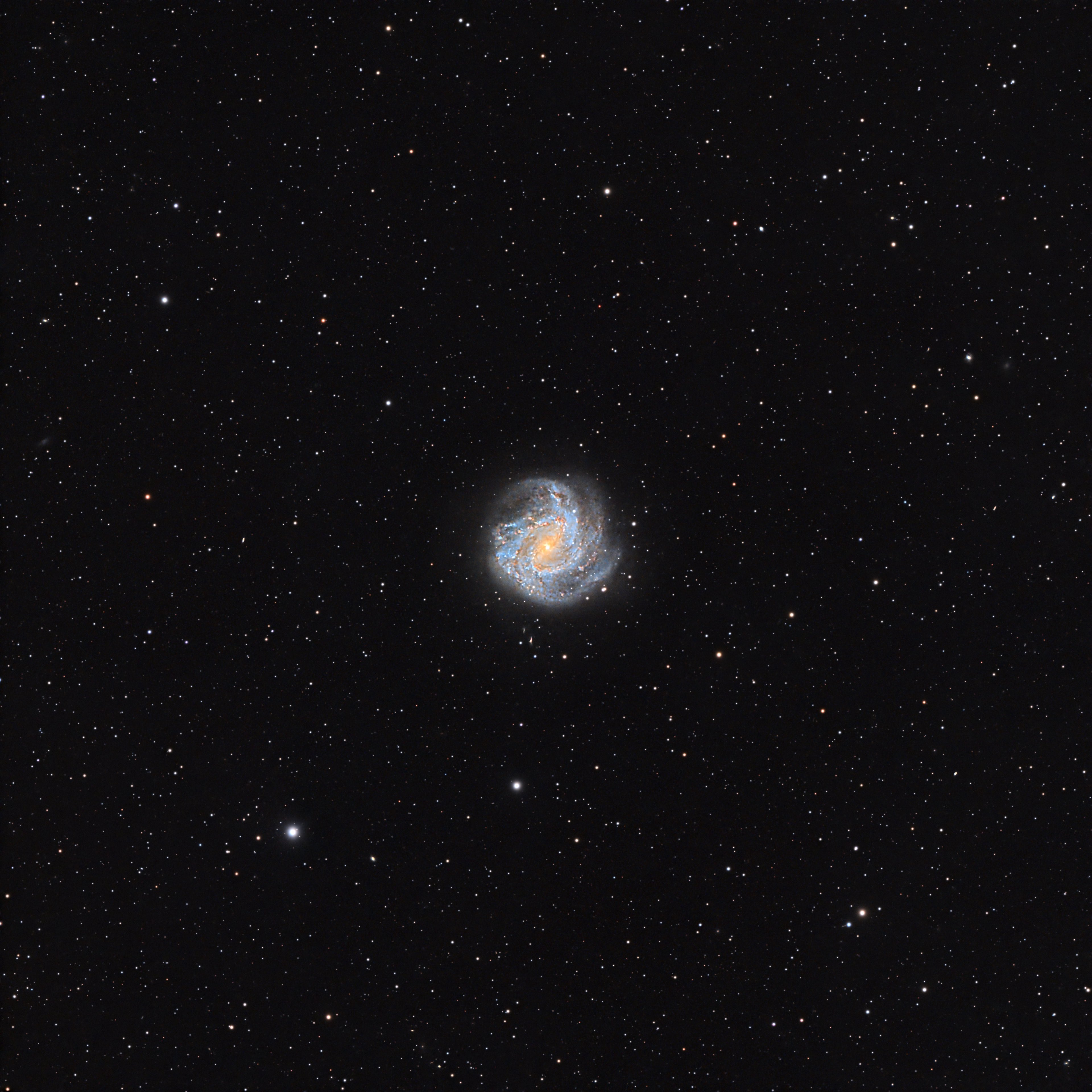 NGC 4038 - 4039 (触角銀河・衝突銀河) | すばるギャラリー