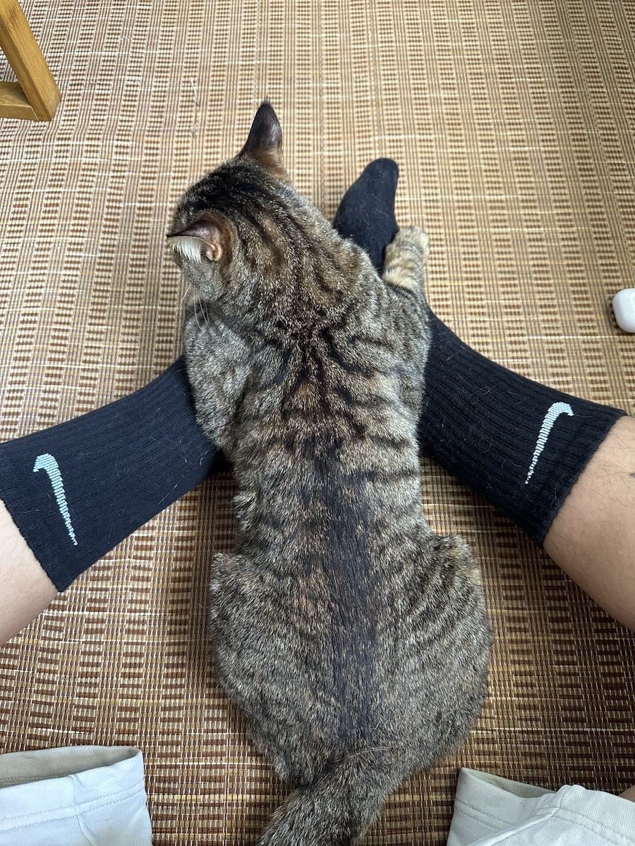 泽泽喆 (@zzzh1317199) on Twitter photo 