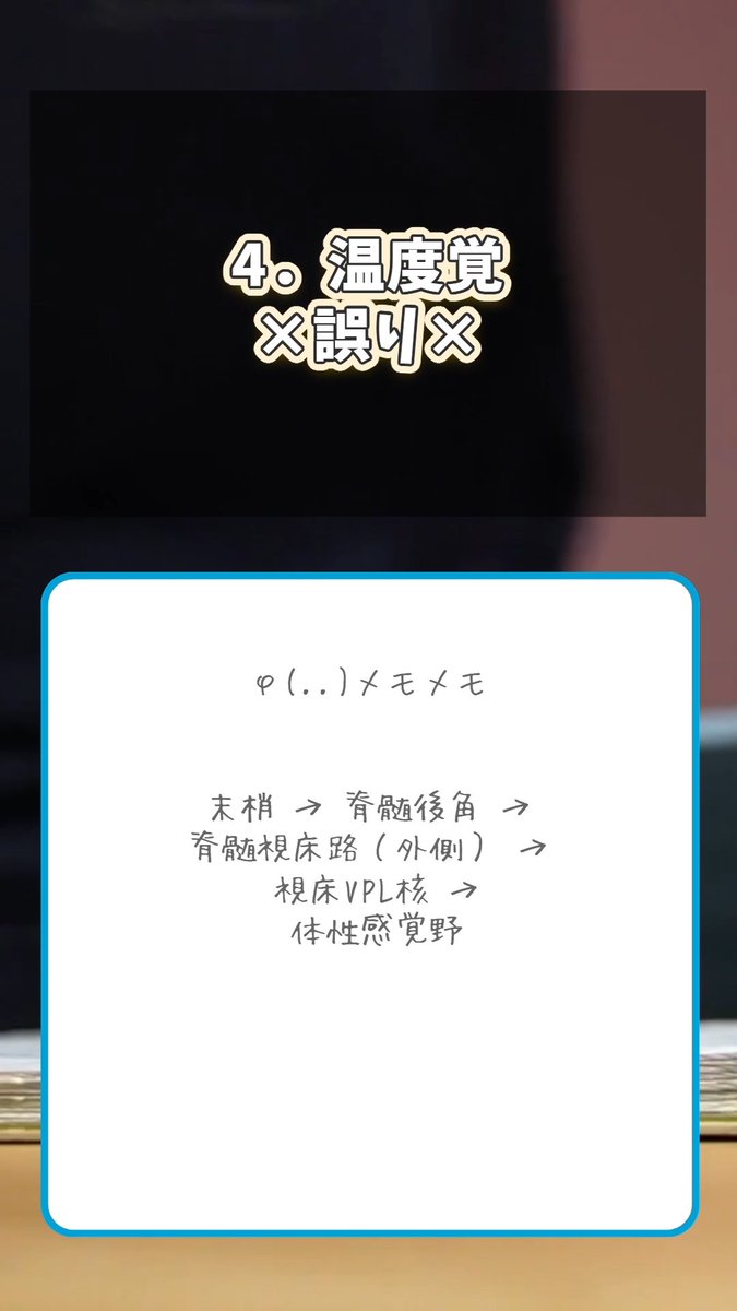 【解説】
問題 20 内側膝状体で中継されるのはどれか。

これからも「いいね」と「投票数」が多いものを解説します。

#過去問解説