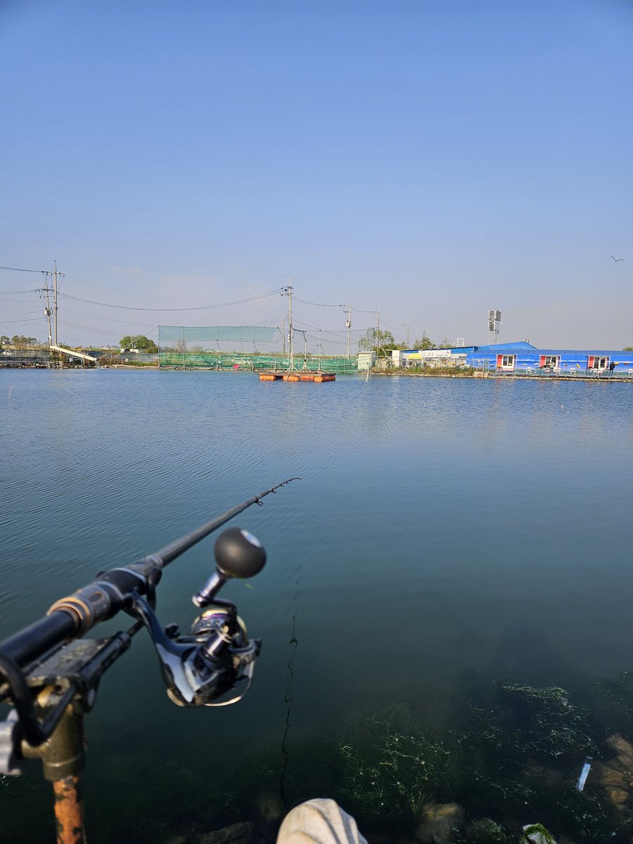 인천 초보 부부 in NZ tweet media