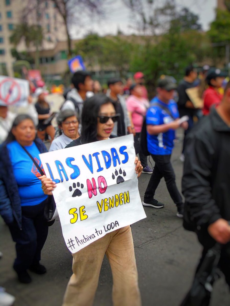 En el país la problemática de animales en estado de calle está descontrolada. En la LODA la <a href="/BiodiversidadAN/">Comisión de la Biodiversidad y Recursos Naturales</a> permite la venta de animales de compañía en el espacio público con autorización. <a href="/AsambleaEcuador/">Asamblea Nacional</a> no pasen a la historia como #AbanderadosDelMaltratoAnimal #ArchivaTuLODA