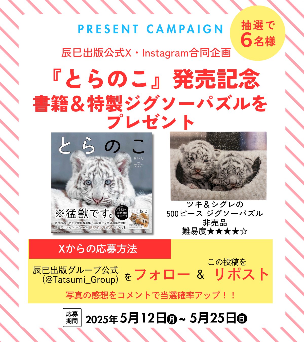 猫びより＠『猫びより』春号発売中！ (@nekobiyori_jp) / X