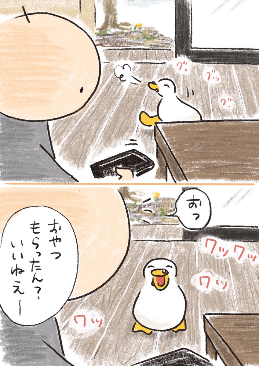 あのねタイムがある 1/2 