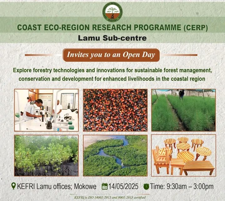 Join us on Wednesday, 14th May 2025 at our Mokowe Sub-centre Open Day to explore bamboo and mangrove innovations, sustainable coastal forest management, and expert insights on boosting land productivity and livelihoods. Karibuni!
