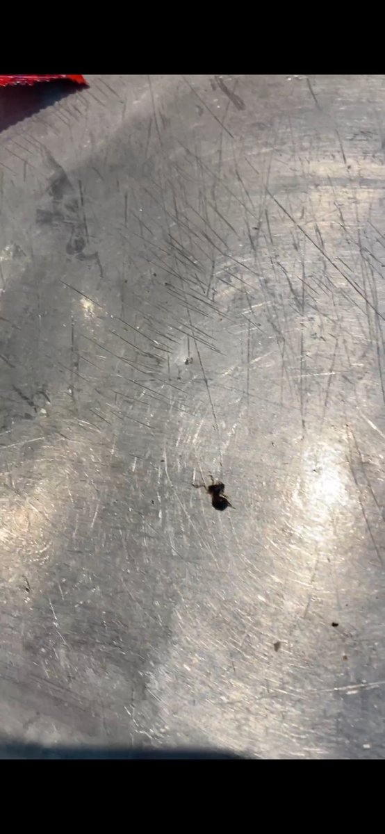 Post.HYDERABAD tweet media