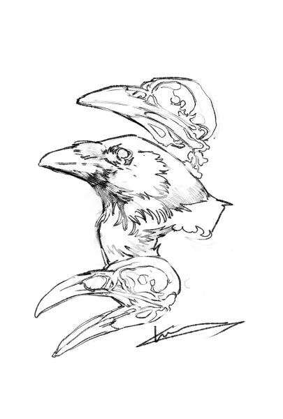 Day 11