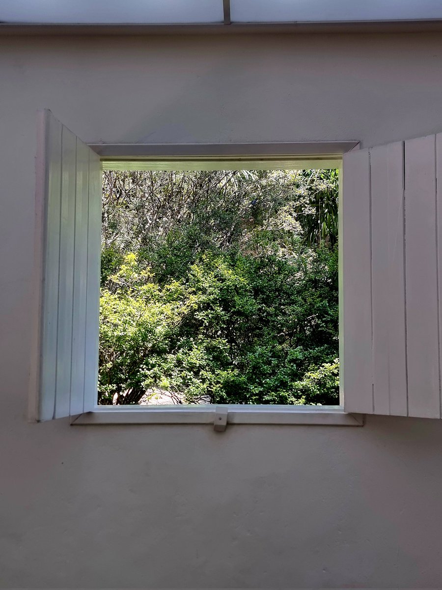 silvalandscapes's tweet photo. The gallery by the artist Rivane Neuenschwander is one the best in inhotin. A rustic white painted house invited us to enter from the back. A transparent ceiling filled with  polystyrene flows and changes all the time like clouds. The windows are opened, inviting nature. https://t.co/w2FkR0Etoe