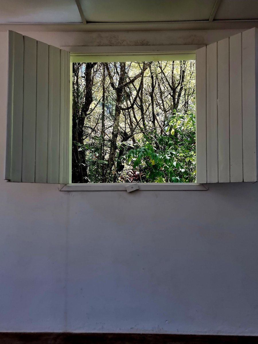 The gallery by the artist Rivane Neuenschwander is one the best in inhotin. A rustic white painted house invited us to enter from the back. A transparent ceiling filled with  polystyrene flows and changes all the time like clouds. The windows are opened, inviting nature.