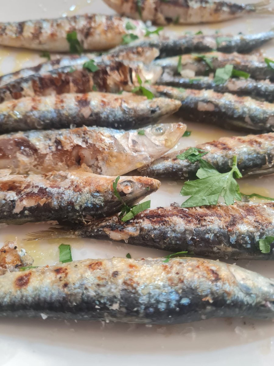 BalandraTGN's tweet image. 🐟Sabíeu que la sardina, un aliment considerat humil, té una gran riquesa saludable? 

👌Entre les moltes propietats, destaquen minerals essencials com calci, ferro i iode, i són una font important d'àcids grassos omega-3, excel·lents per al cor i el cervell.

#Balandra