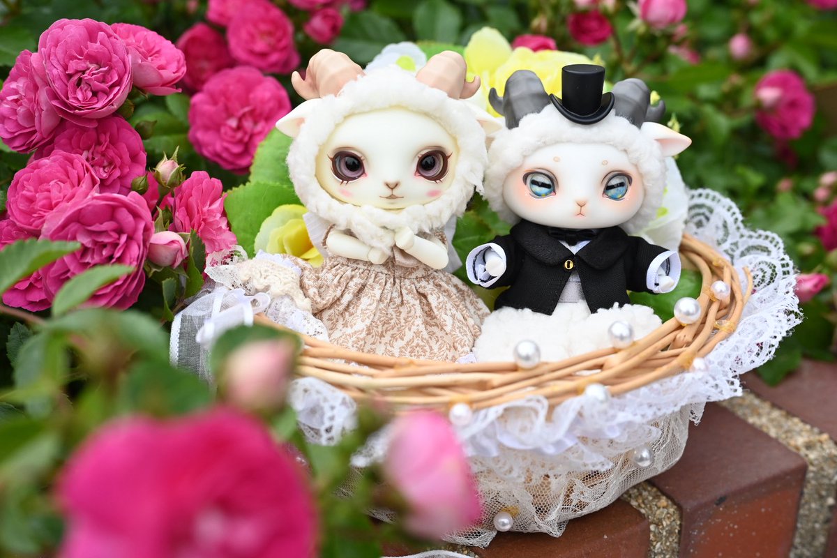 drops0401's tweet photo. LORENZ合わせ。
羊🐑可愛いよ🥰

#Dearmine #LORENZbean https://t.co/nwWVNqGlll