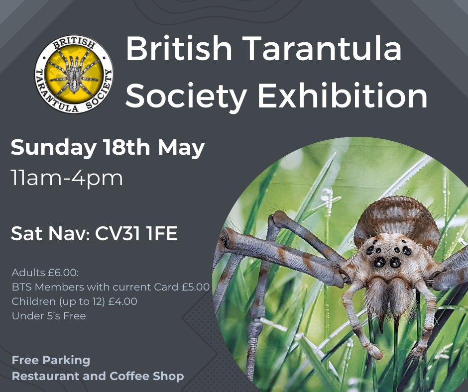 THIS SUNDAY - The British Tarantula Society Exhibition returns to the Warwickshire Event Centre.  All information can be found here exhibition.thebts.co.uk
