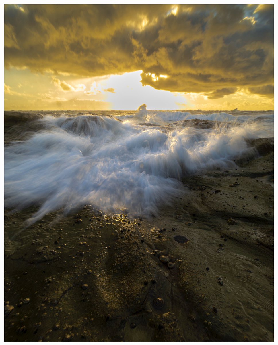 34_mediaOZ's tweet image. Intense. 

#polarprointhewild #kuhlmountainculture #3leggedthing #canon #landscapephotographer #sunrise #sunshinecoast