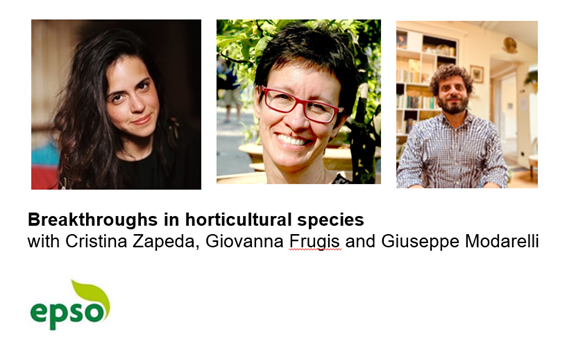 43rd EPSO seminar for European Plant Scientists: 22nd May 2024 at 15.00 CET discussing Breakthroughs in horticultural species with Cristina Zapeda, Giovanna Frugis and Giuseppe Modarelli. EPSO members register bit.ly/4d2GwF4. #PlantScience #SDG #horizoneu