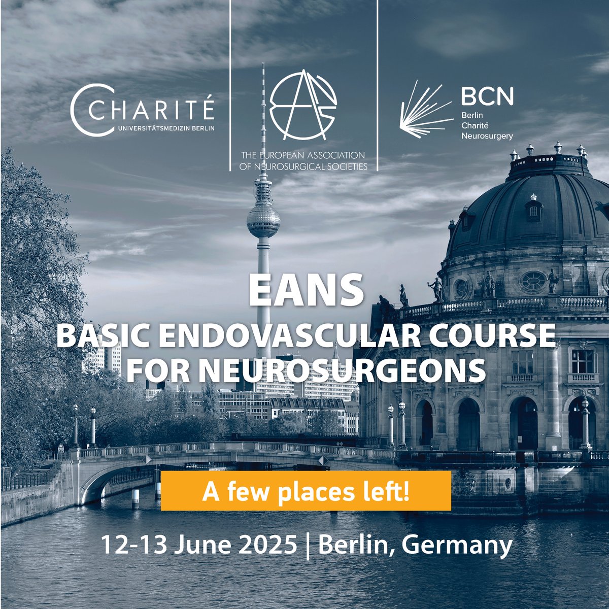 🤩 Peter Vajkoczy &amp; Lars Wessels warmly invite you to the 6th EANS Basic #Endovascular Course on 12-13 June in Berlin!  💡 Learn essential skills on neurovascular treatments from our international faculty.   
Places are filling up fast! 👉 bit.ly/4dh4KeX #EANSonline