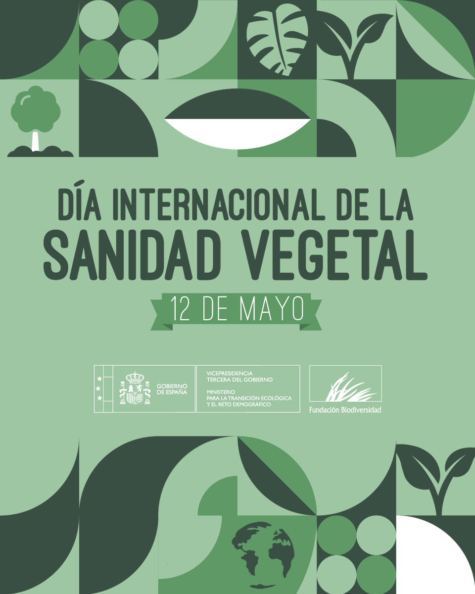 Las plantas son la base de la vida en la Tierra:

🌬️ Producen oxígeno
🌡️ Regulan el clima
🏜️ Previenen la erosión
💧 Purifican el agua
🍏 Son la base de las cadenas alimenticias

Sin ellas, los ecosistemas colapsan 🌿

#DíaDeLaSanidadVegetal #PlantHealth4Life