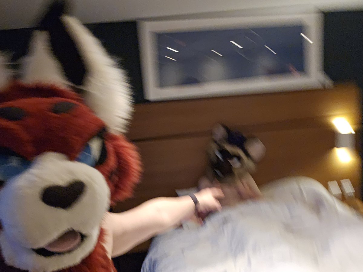 CRASH (@crashdayeen) on Twitter photo 