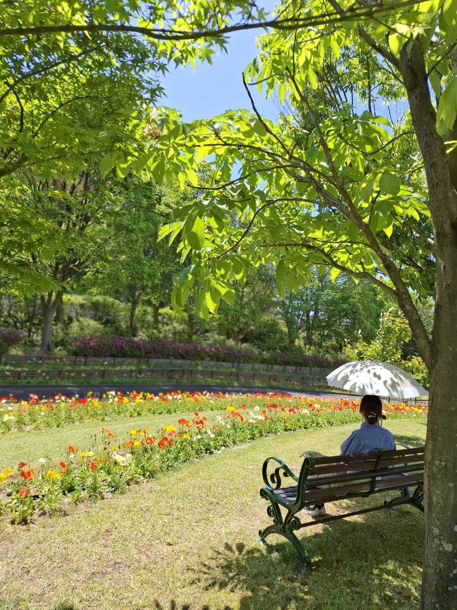 and_goen's tweet photo. ご縁の聖地・出雲市にある「#しまね花の郷」は、季節ごとに多彩な表情を見せる花と緑に出会えるフラワーパーク🌼
ゆっくりとくつろげる芝生広場や、年中満開の花でいっぱいのガラス室など様々なエリアでお花を楽しめますよ✨
※アジサイフェアは今月11日に終了いたしました
https://t.co/NWqfsHqU3p https://t.co/Yfi6DvIJyB