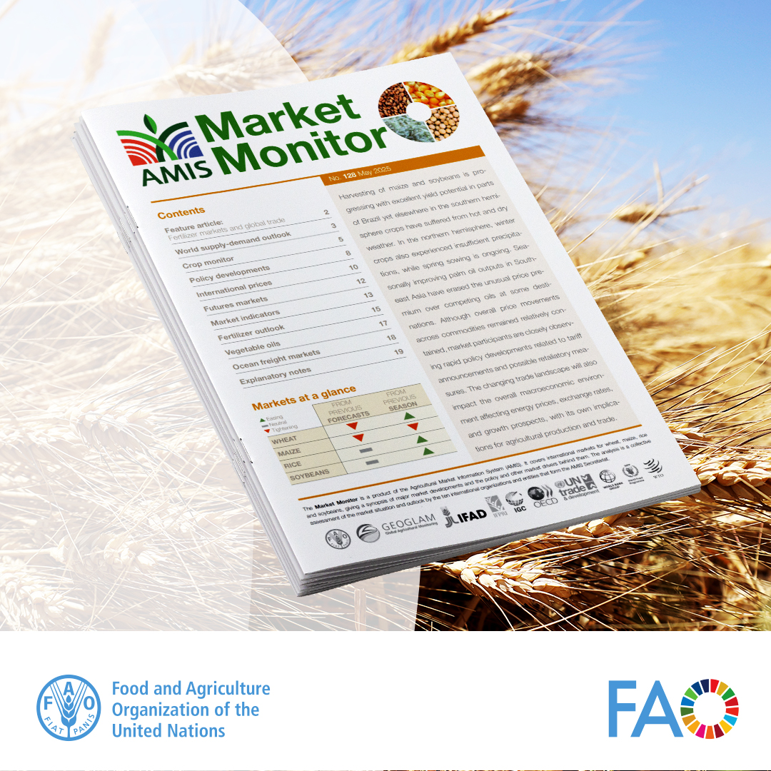 📢<a href="/IFPRI/">IFPRI</a>-<a href="/AMISoutlook/">AMIS</a>  webinar: 2025 Outlook for Wheat, Maize 🌽 &amp; Soybean Crops

🗓️13 May 
⏰15:30 CEST 

🌍grain &amp; oilseed markets face greater uncertainty as producers in northern hemisphere complete spring plantings. Join us for latest insights 

📌ifpri.org/event/2025-out…