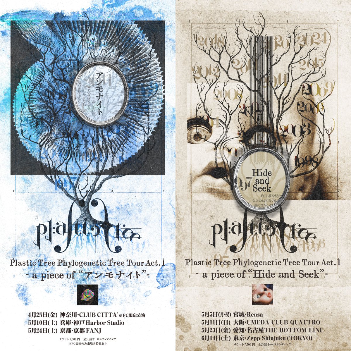 #PlasticTree  Phylogenetic Tree Tour Act.1
5/23(金)愛知公演・5/24(土)京都公演当日のご案内・当日券発売のお知らせ

📅5/23(金)
📍[愛知] 名古屋THE BOTTOM LINE
-a piece of “Hide and Seek”-

📅5/24(土)
📍[京都] 京都FANJ
-a piece of “アンモナイト”-

▼詳細
plastic-tree.com/various/news/?…