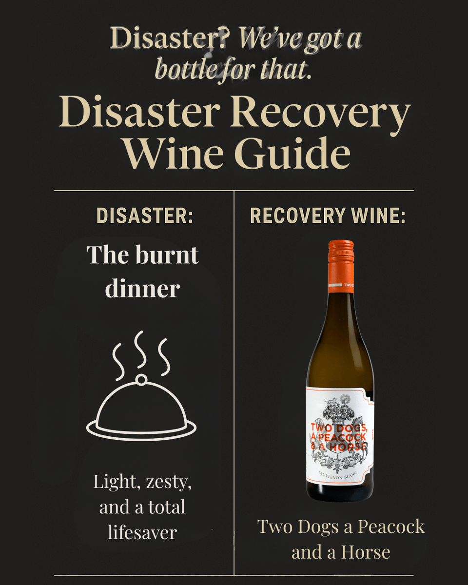 Burnt the roast? Or the pasta? Or... everything? 🍳🔥
Don’t panic. Just reach for Two Dogs, a Peacock &amp; a Horse Sauvignon Blanc and order your favourite takeaway.
Disaster recovered. 🍷

#DisasterRecoveryGuide #WineSavesTheDay #RealLifeRealWine #DrinkDifferent #BEVintners