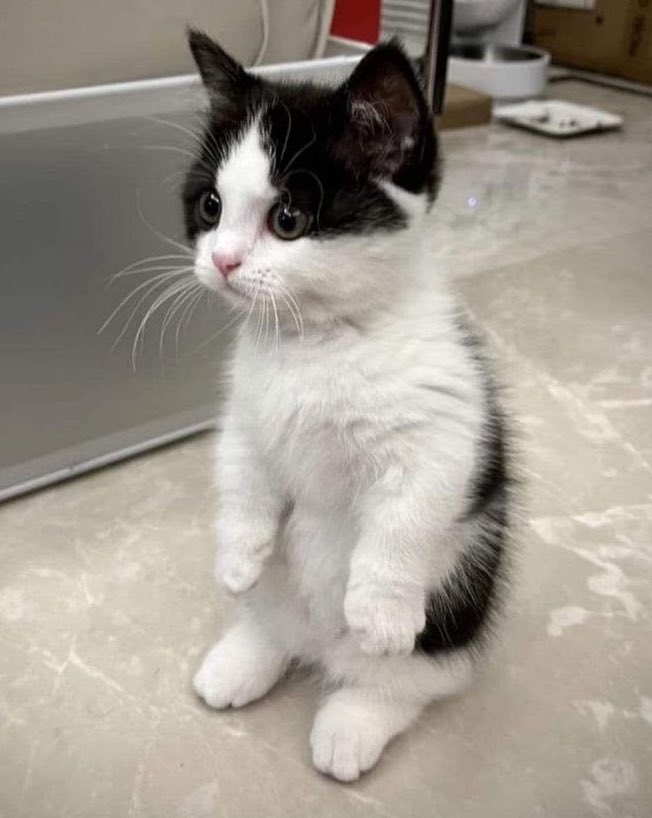 ป๋มต้องไปไหน 🥺 ㅠㅠㅠㅠㅠㅠㅠ
