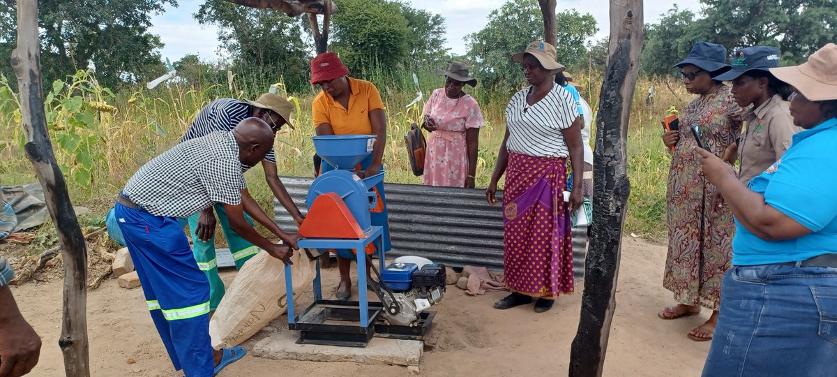 SHDF Zimbabwe (@shdfzim) on Twitter photo A mother's love is timeless-just like SHDF commitment to empowering women and families! We want to take a moment to honor all the incredible mothers, caregivers and maternal figures who nurture and inspire their communities every day. 
To every mother-thank you for all you do! A mother's love is timeless-just like SHDF commitment to empowering women and families! We want to take a moment to honor all the incredible mothers, caregivers and maternal figures who nurture and inspire their communities every day. 
To every mother-thank you for all you do!