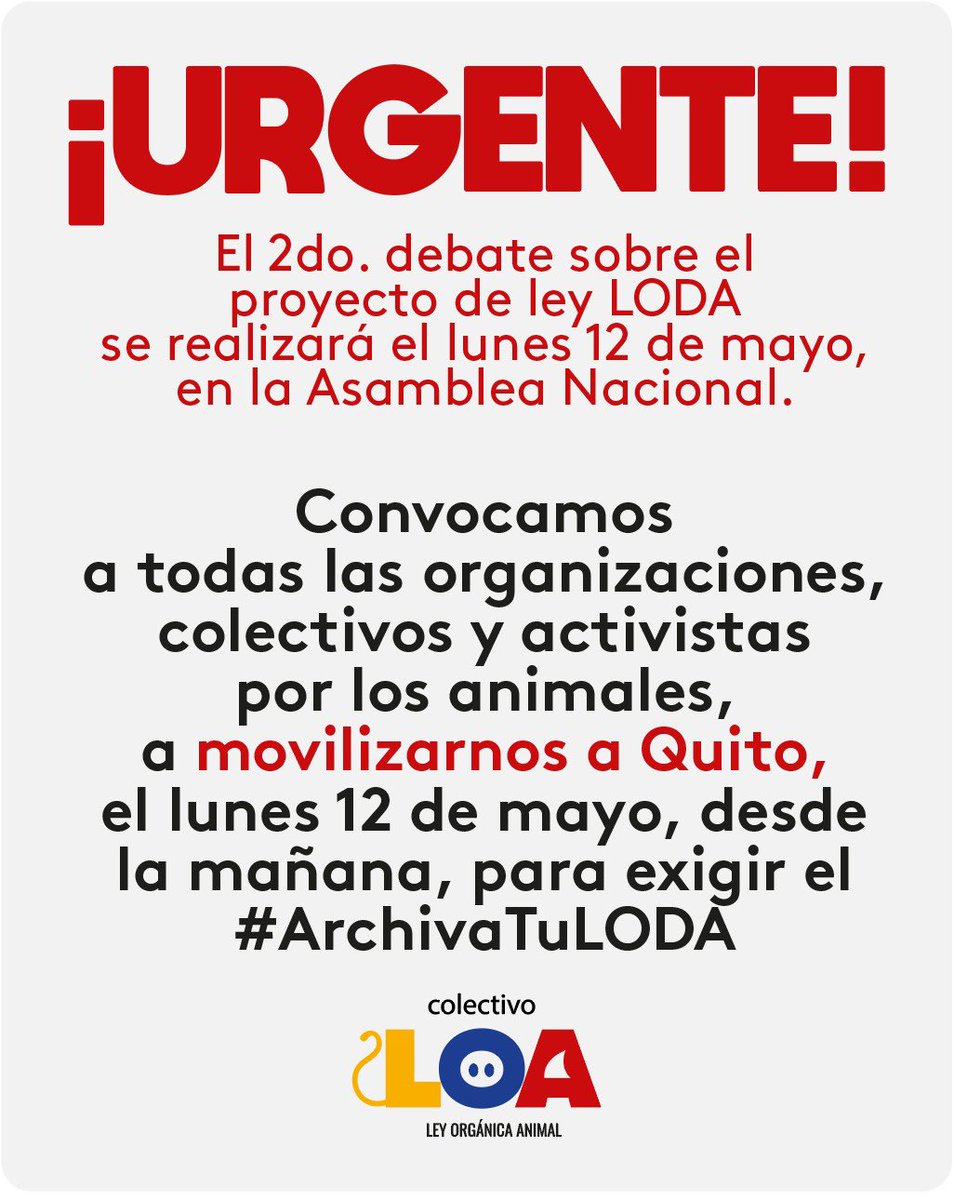 Mundo Verde (@mundoverde_ec) on Twitter photo 🚨 La nueva Ley Orgánica para la Protección y Defensa de los Derechos de los Animales (#LODA) representa un GRAVE RETROCESO. <a href="/LoaEcuador/">LoaEcuador</a>
<a href="/AsambleaEcuador/">Asamblea Nacional</a> no pasen a la historia como #AbanderadosDelMaltratoAnimal
#ArchivaTuLODA 🚨 La nueva Ley Orgánica para la Protección y Defensa de los Derechos de los Animales (#LODA) representa un GRAVE RETROCESO. <a href="/LoaEcuador/">LoaEcuador</a>
<a href="/AsambleaEcuador/">Asamblea Nacional</a> no pasen a la historia como #AbanderadosDelMaltratoAnimal
#ArchivaTuLODA